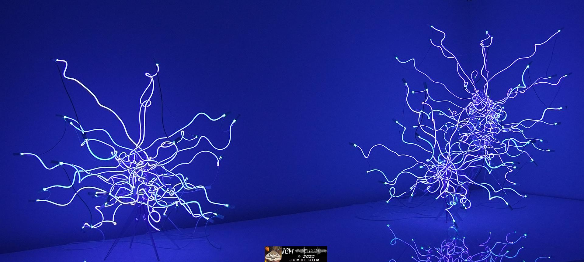 20200930 CheekWood Chihuly - neon light sculptures